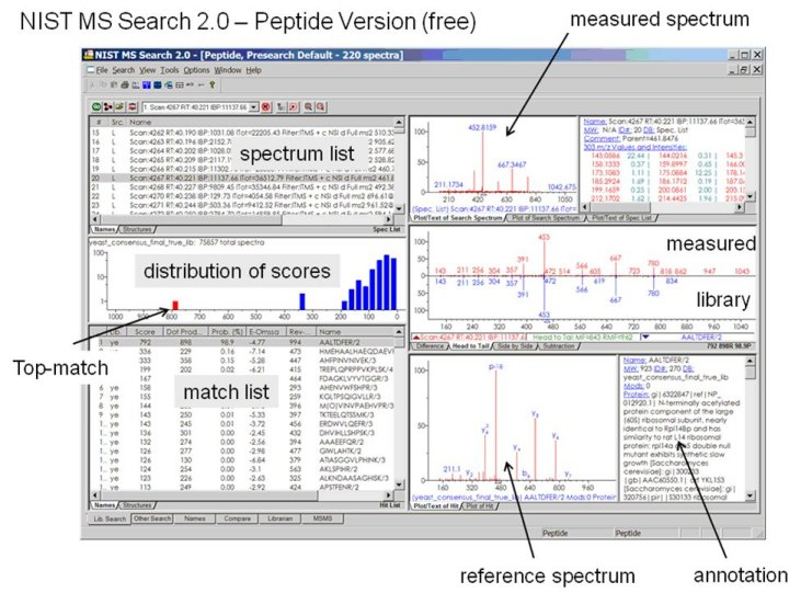 nistmssearchpeptide.png nistmssearchpeptide.png